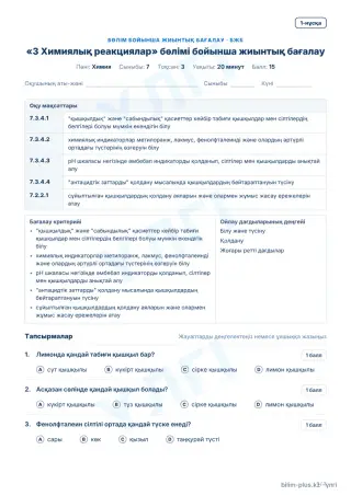 Үлгі · БЖБ · 1-нұсқа