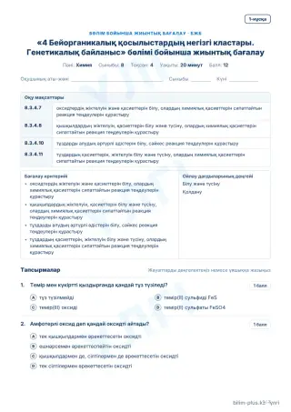 Үлгі · БЖБ · 1-нұсқа