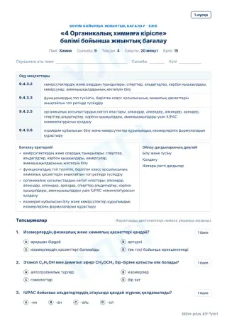 Үлгі · БЖБ · 1-нұсқа