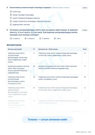 Үлгі · Тапсырмалар