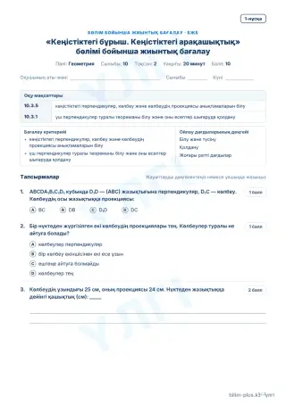 Үлгі · БЖБ · 1-нұсқа