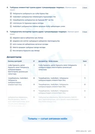 Үлгі · Тапсырмалар