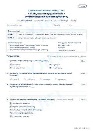 Үлгі · БЖБ · 1-нұсқа