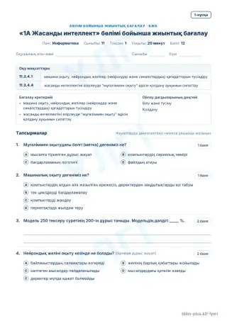 Үлгі · БЖБ · 1-нұсқа