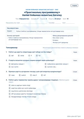 Үлгі · БЖБ · 1-нұсқа