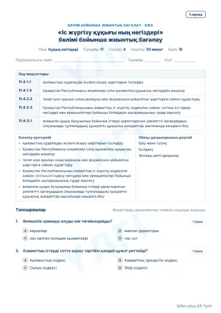 Үлгі · БЖБ · 1-нұсқа