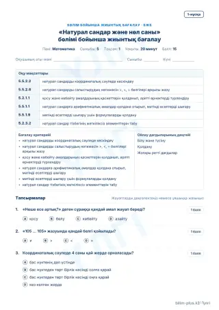 Үлгі · БЖБ · 1-нұсқа