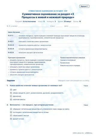 Образец · СОР · вариант 1