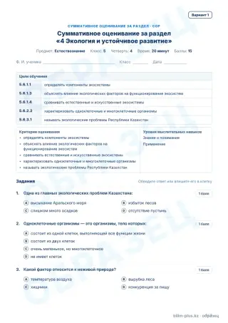 Образец · СОР · вариант 1