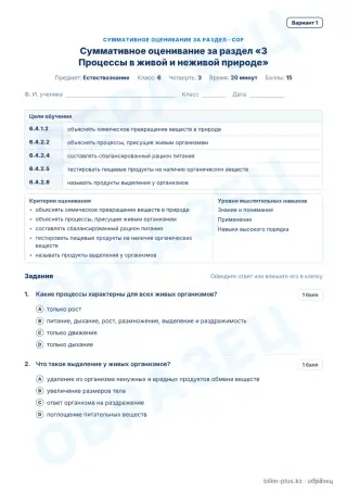 Образец · СОР · вариант 1