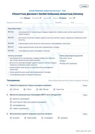 Үлгі · БЖБ · 1-нұсқа