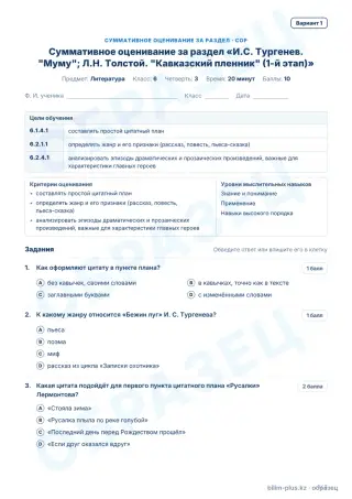 Образец · СОР · вариант 1