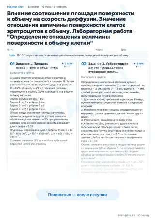Образец · Рабочий лист